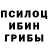 Галлюциногенные грибы GOLDEN TEACHER Hantemir Kerimbaev