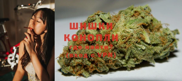 гидра Алексеевка