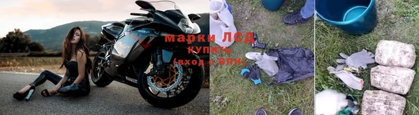СК Аркадак